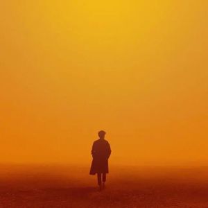 中国少妇大战黑鬼
