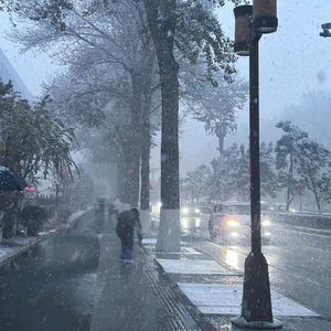 中国少妇大战黑鬼
