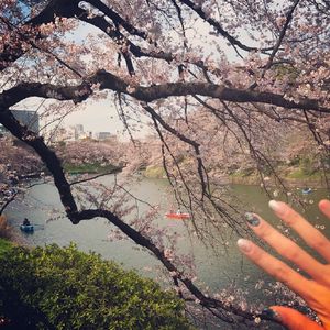 中国少妇大战黑鬼
